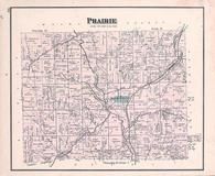 Prairie Township, Holmesville, Killbuck Creek, Salt Creek, Holmes County 1875